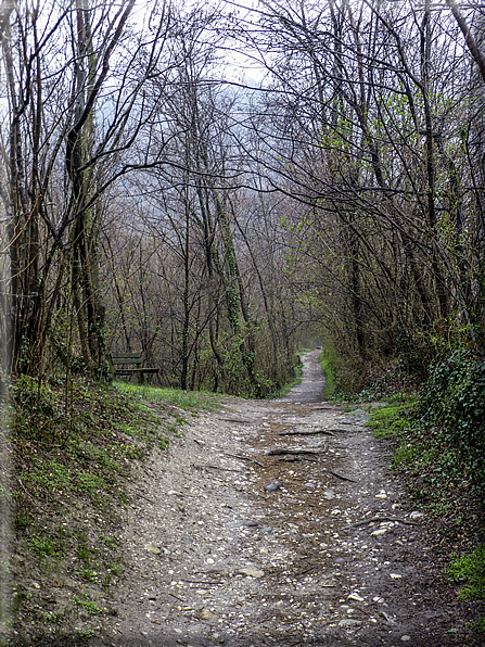 foto Fiume Brenta